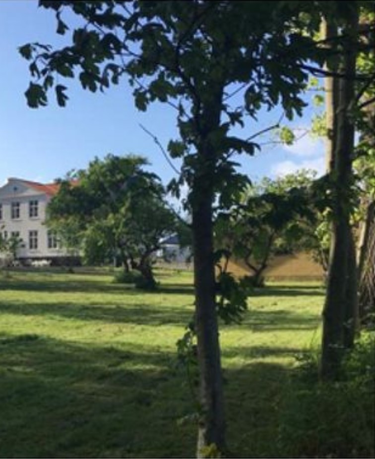 Gravendal 7